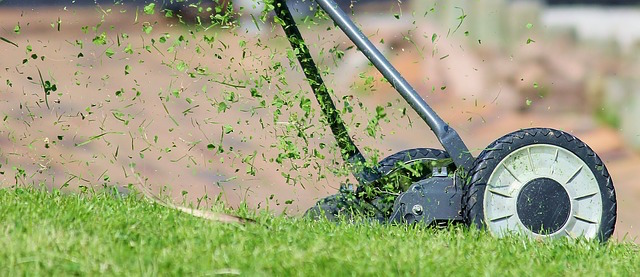 Five Spring Lawn Care Tips