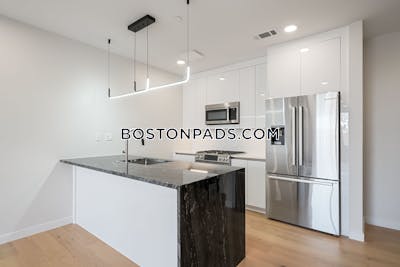 East Boston Apartment for rent 2 Bedrooms 2 Baths Boston - $5,000 No Fee