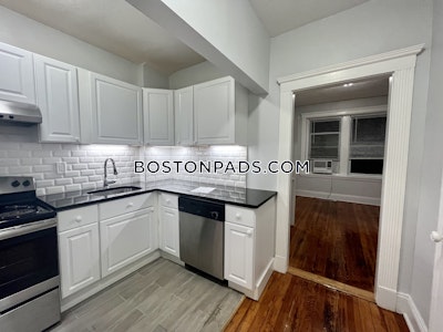 Brighton Apartment for rent 1 Bedroom 1 Bath Boston - $2,350
