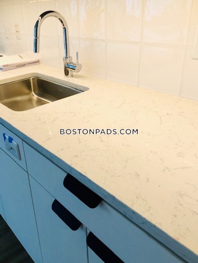 Seaport/waterfront 3 Bed 2 Bath BOSTON Boston - $8,751 No Fee