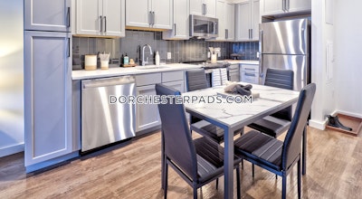 Dorchester Apartment for rent Studio 1 Bath Boston - $2,495 No Fee