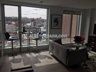 Lower Allston Apartment for rent 2 Bedrooms 2 Baths Boston - $4,870 No Fee