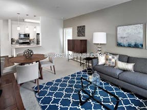 Brookline Apartment for rent 1 Bedroom 1 Bath  Chestnut Hill - $3,545