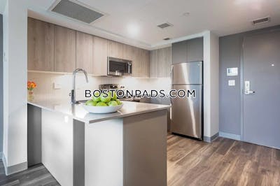 Roxbury Apartment for rent 1 Bedroom 1 Bath Boston - $4,899 No Fee