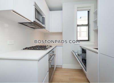 Allston/brighton Border Apartment for rent 1 Bedroom 1 Bath Boston - $2,750