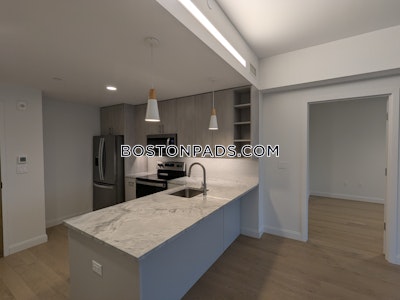 Allston Apartment for rent 2 Bedrooms 2 Baths Boston - $5,050 No Fee